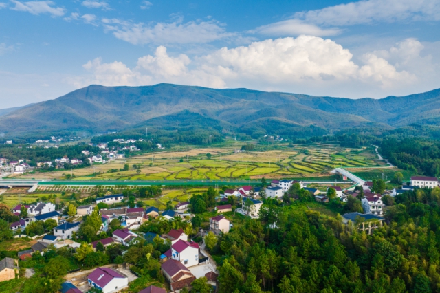 1736652644491504.png 03.png