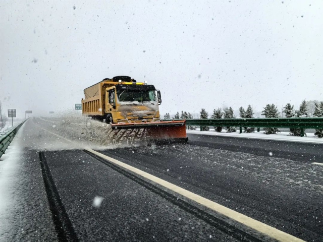 1741007243234736.jpg 03.jpg