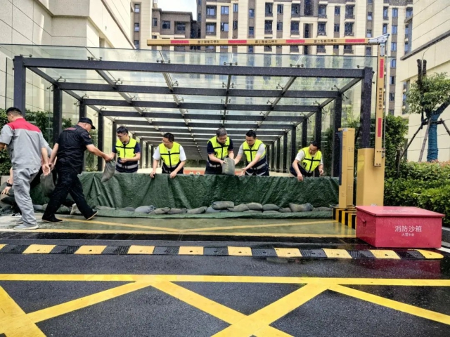 1750158895953561.jpg 23.jpg