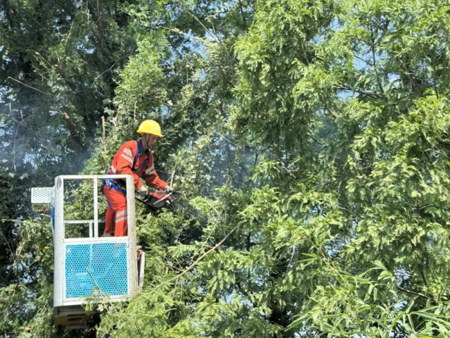 1751530791619196.jpg 01.jpg